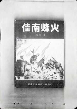 《佳南烽火》马荣 著  佳县南部革命史