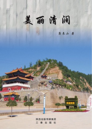《美丽清涧》康泰山 著2014年