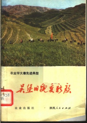 《吴堡旧貌变新颜》1976年