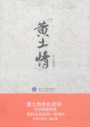 《黄土情》彭安绪 著 2010年
