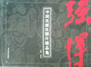 《中国汉画像拓片精品集》2007年