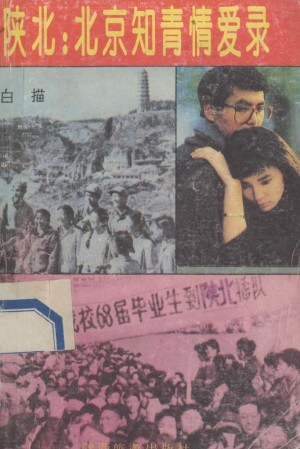 《陕北北京知青情爱录》白描 著 1993年