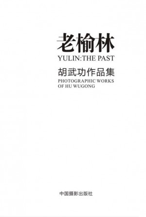 《老榆林——胡武功作品集》2012年 胡武功 著