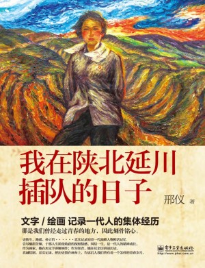 《我在陕北延川插队的日子》邢仪 著 2014年