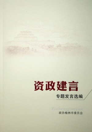 《资政建言——专题发言选编》2021年