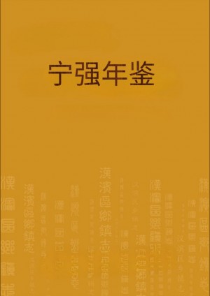 《宁强年鉴》