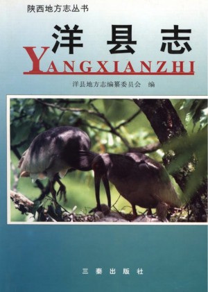 《洋县志》