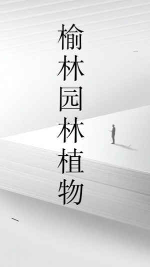 榆林园林植物