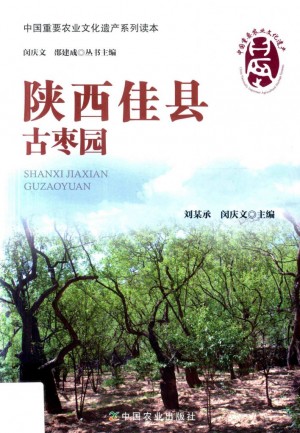 《陕西佳县古枣园》