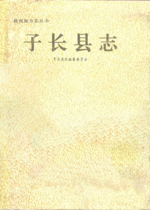 《子长县志 1990-2010》