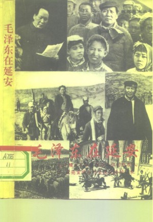 毛泽东在延安关于确立毛泽东领导地位的组织人事理论宣传和外交统战活动实录