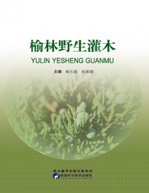 榆林野生灌木