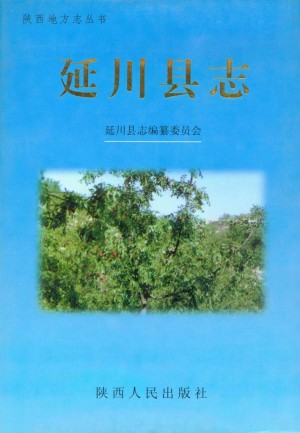 《延川县志》1999年
