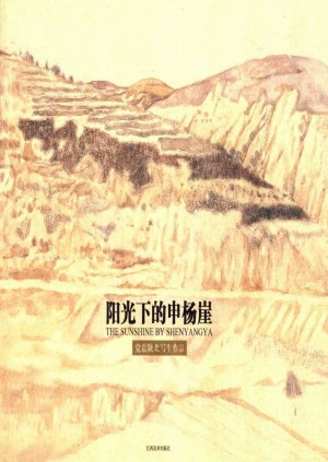 《阳光下的申杨崖—党震陕北写生作品》2010年