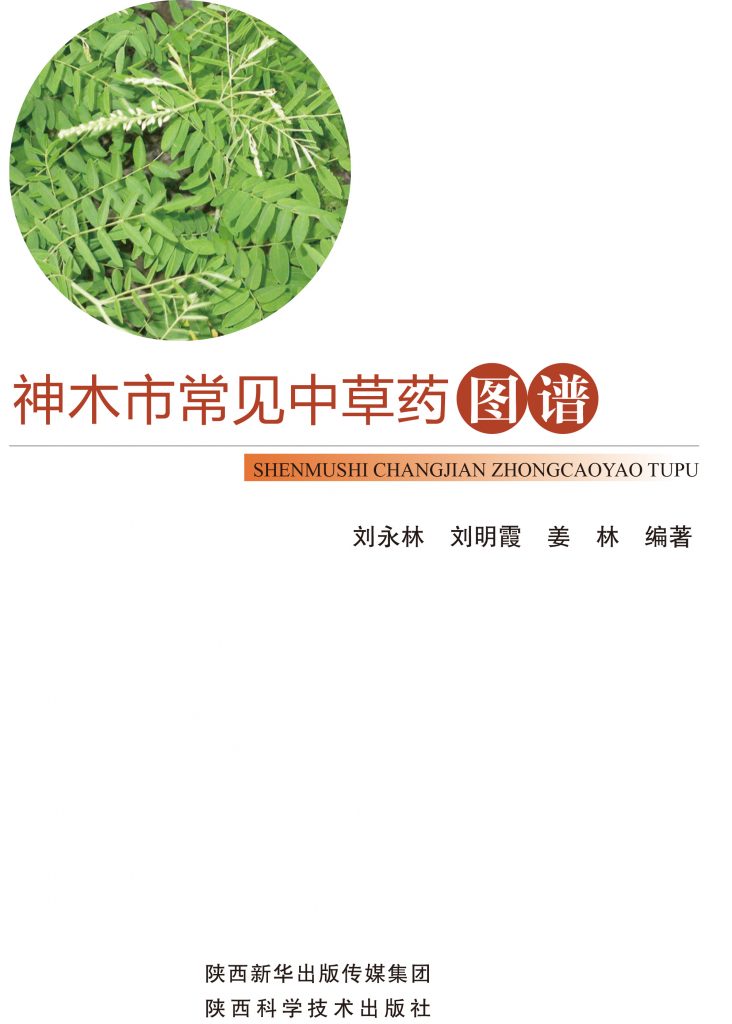神木市常见中草药图谱
